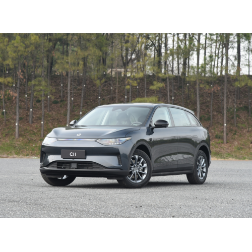 LEAPMOTOR C11 2023 سيارة كهربائية جديدة 610 كم 4WD SUV EV CAR CARNS COMPLE CAME CHEAM